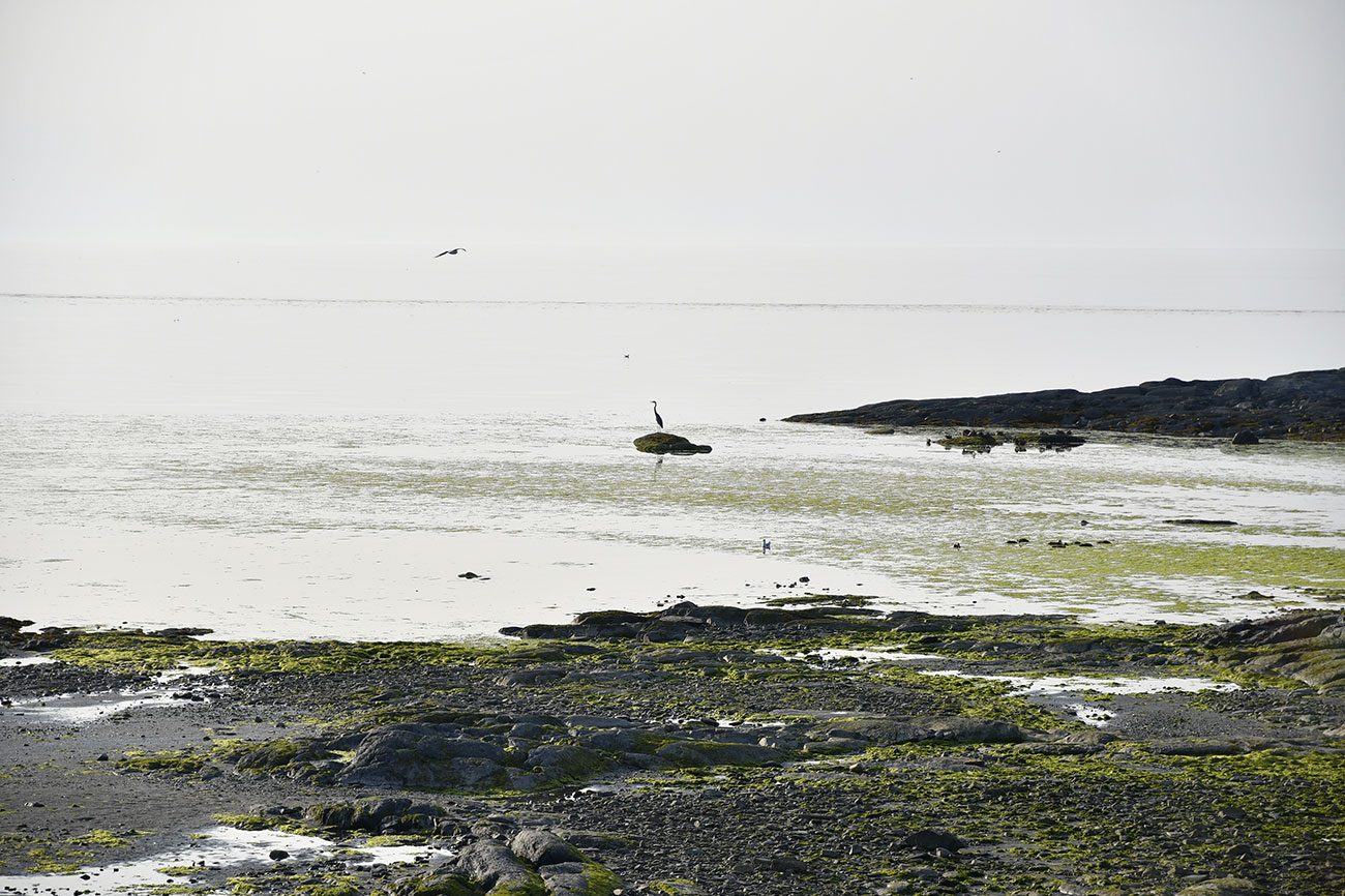 Fleuve Saint-Laurent